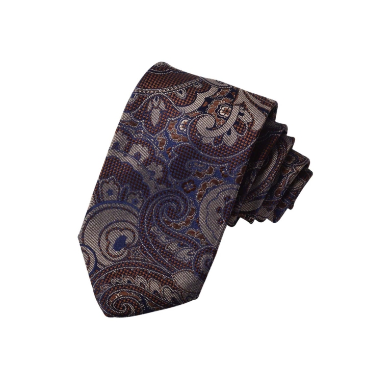 Dion Oxford Weave Paisley Silk Tie