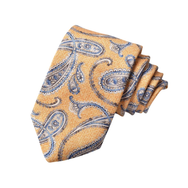 Dion Melange Paisley Silk Tie
